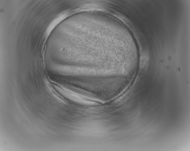 X0000051891242200507081930