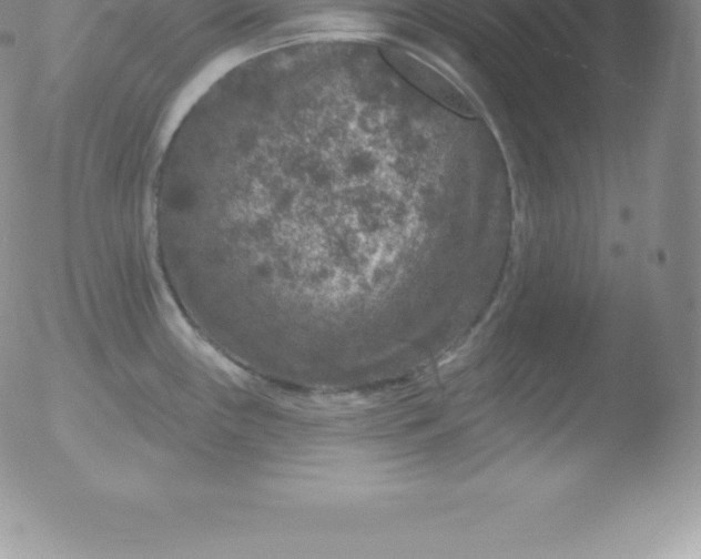 X0000051891243200507081931