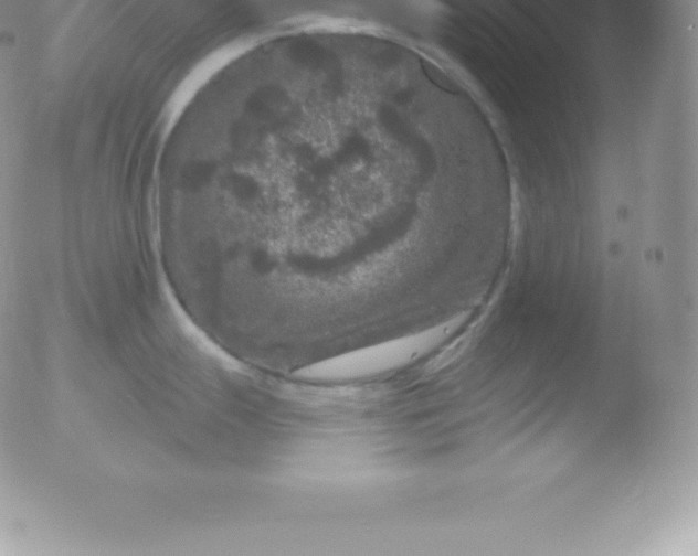 X0000051891247200507081931