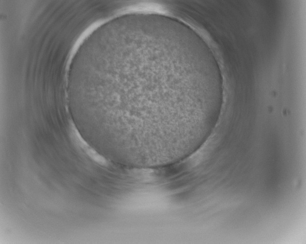 X0000051891248200507081931