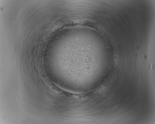 X0000051891249200507081930