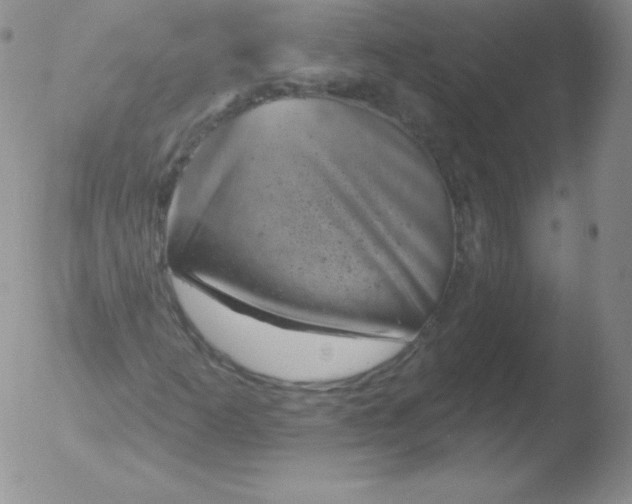 X0000051891253200507081930