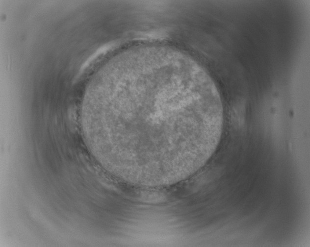 X0000051891254200507081930