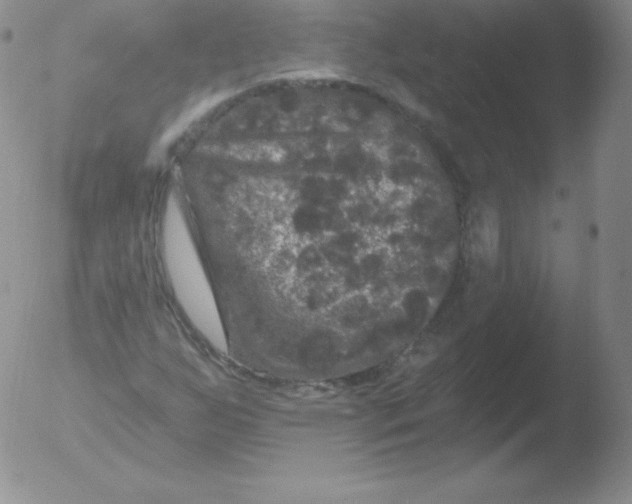 X0000051891255200507081930