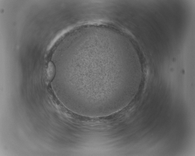 X0000051891256200507081930