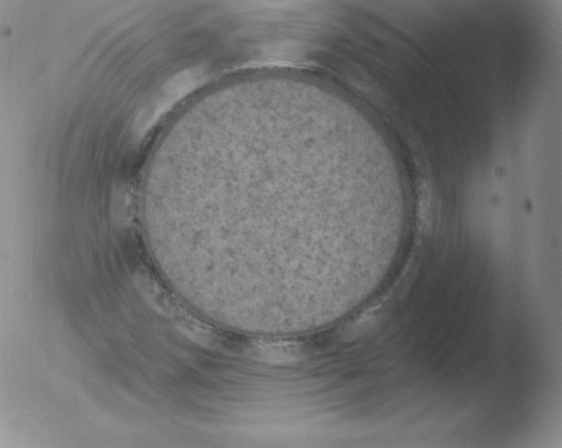 X0000051891258200507081930