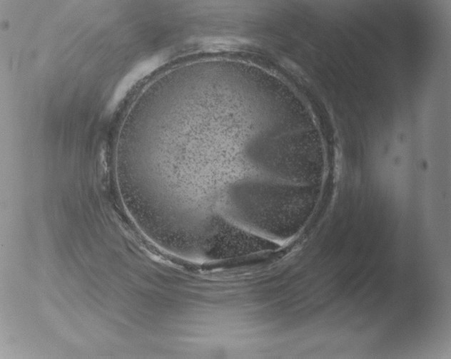 X0000051891261200507081930