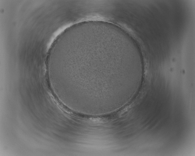 X0000051891264200507081930