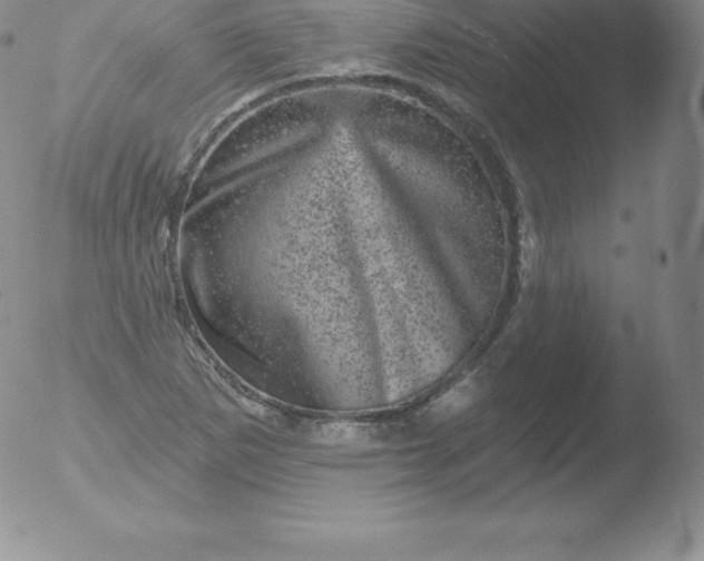 X0000051891265200507081930