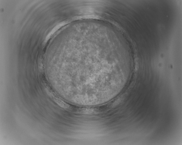 X0000051891266200507081930