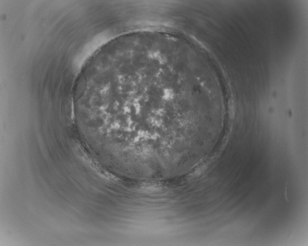 X0000051891267200507081930