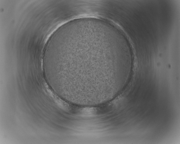 X0000051891268200507081929