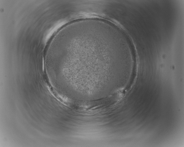 X0000051891269200507081929