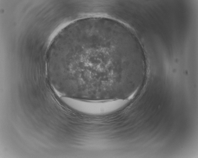 X0000051891271200507081929