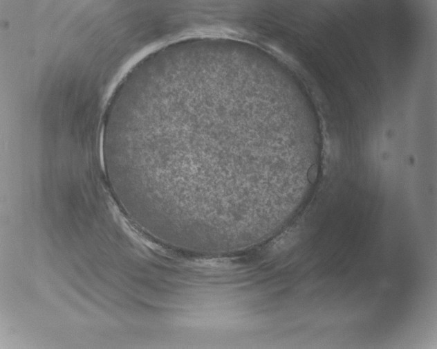 X0000051891272200507081929