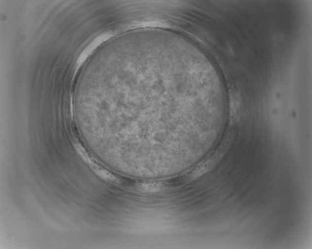 X0000051891274200507081929