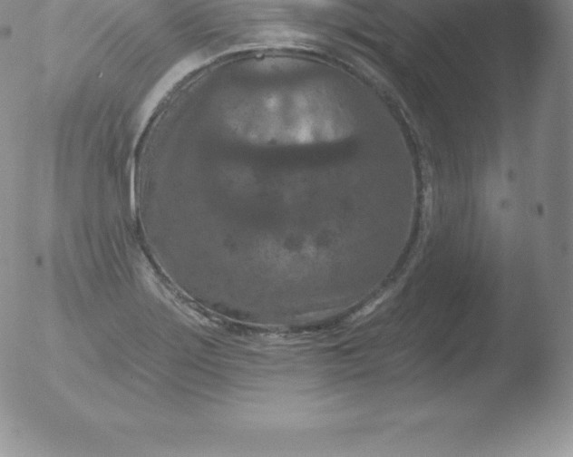 X0000051891275200507081929