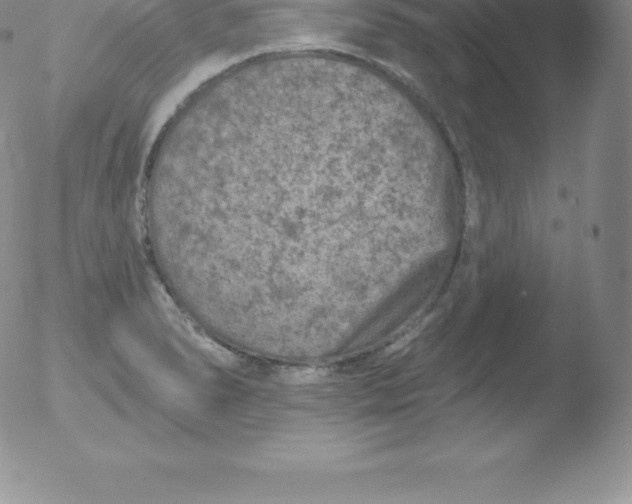 X0000051891278200507081929