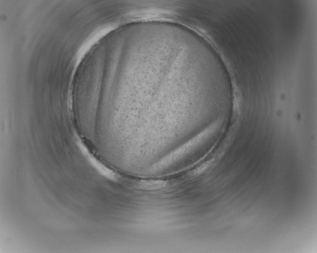 X0000051891285200507081929