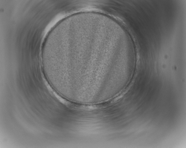 X0000051891286200507081929