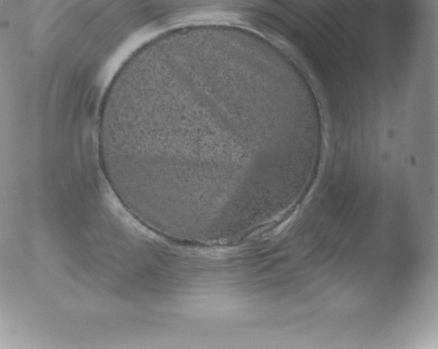 X0000051891288200507081929