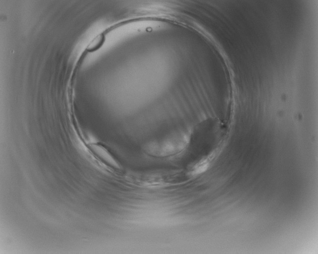 X0000051891291200507081929