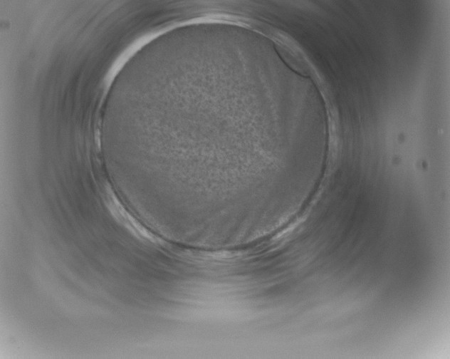 X0000051891292200507081929