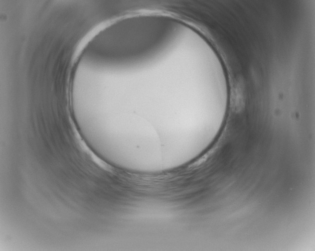 X0000051891294200507081929