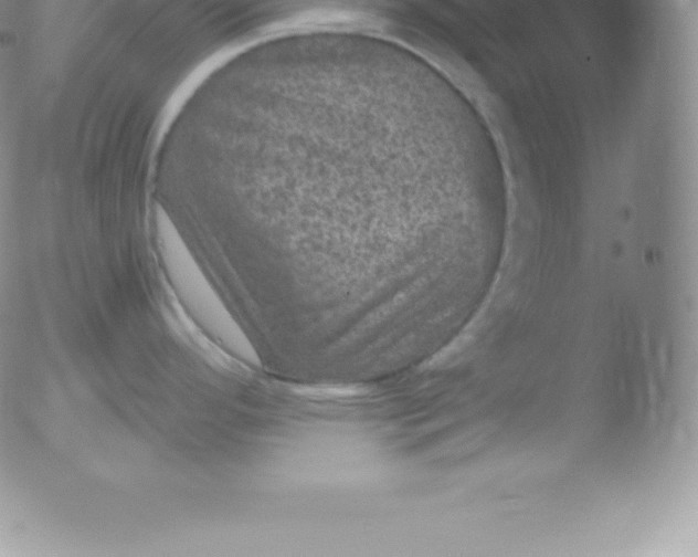 X0000051891296200507081929