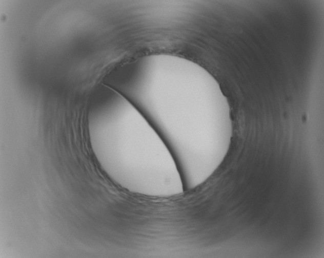 X0000051891297200507081928