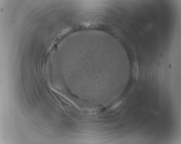 X0000051891298200507081928