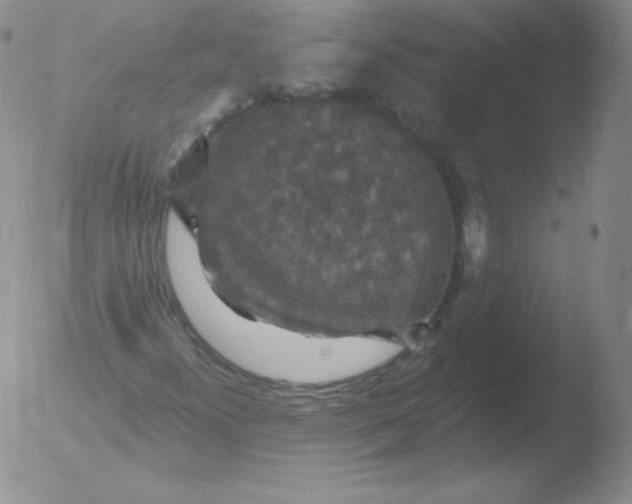 X0000051891300200507081928