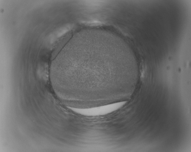 X0000051891301200507081928