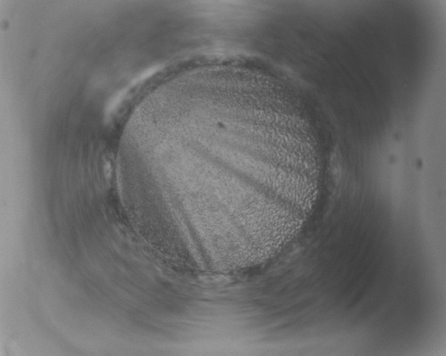 X0000051891302200507081928