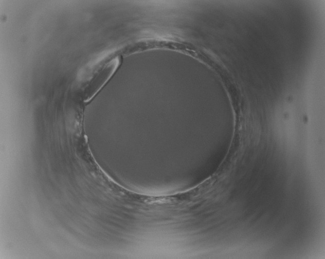 X0000051891303200507081928