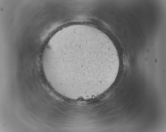 X0000051891304200507081928