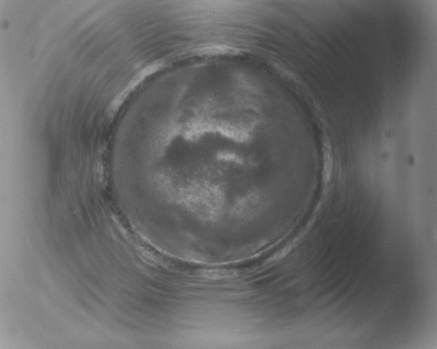 X0000051891305200507081928