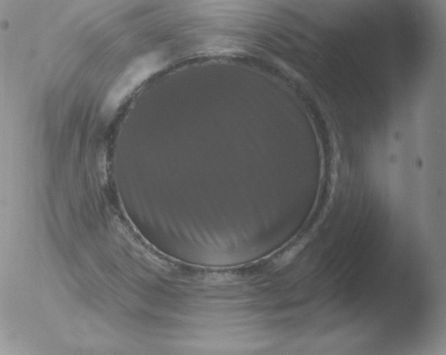 X0000051891306200507081928