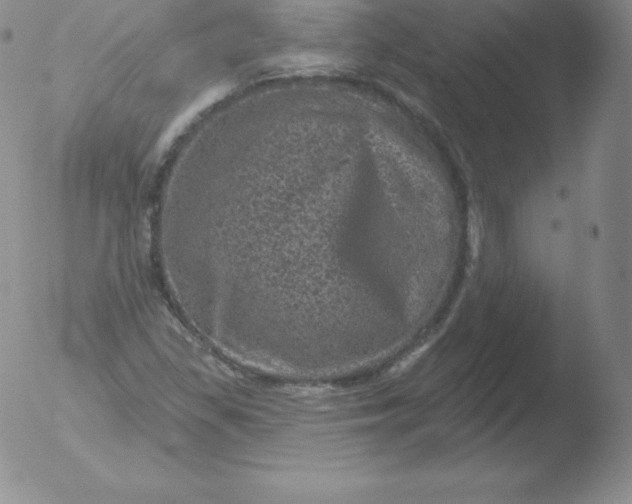 X0000051891309200507081928