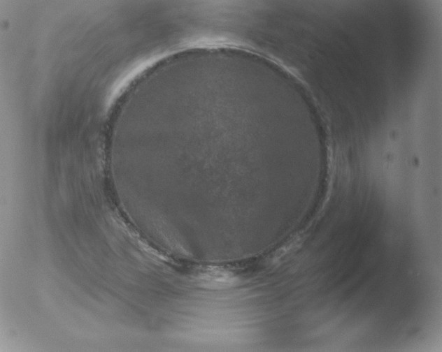 X0000051891311200507081928