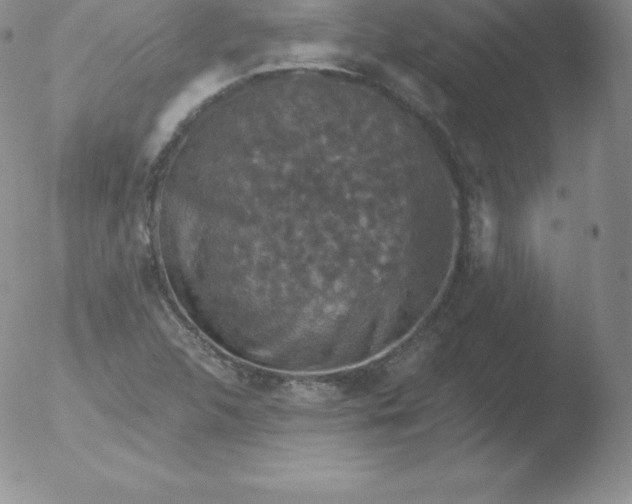 X0000051891312200507081928