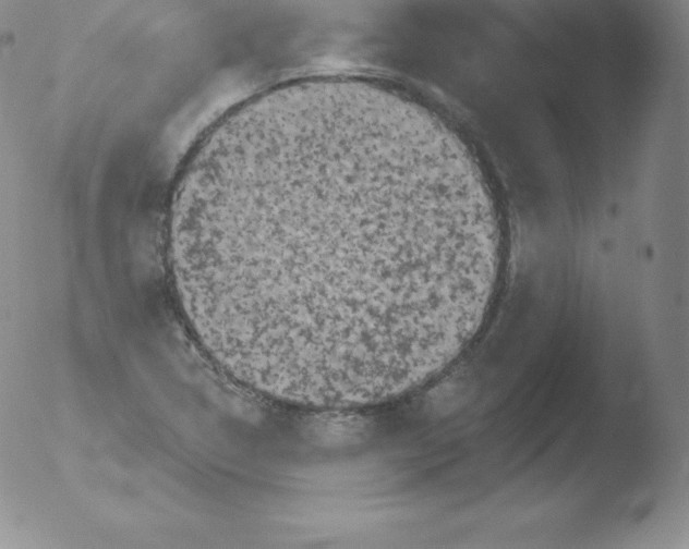 X0000051891314200507081929