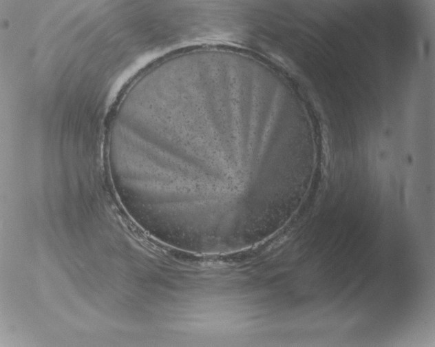 X0000051891316200507081929