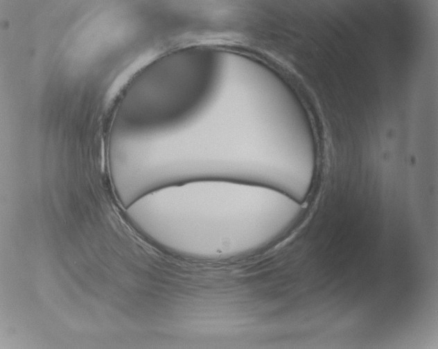 X0000051891317200507081929