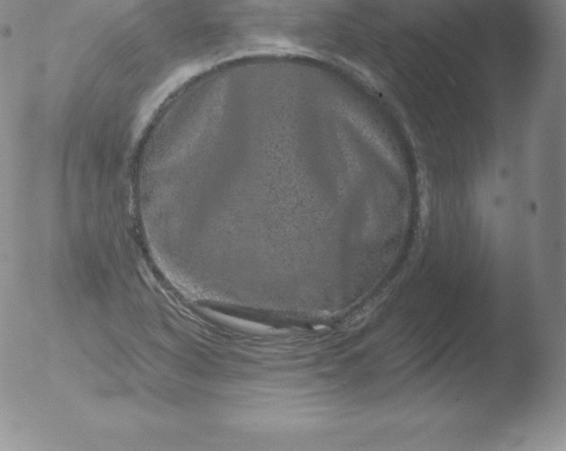 X0000051891318200507081929