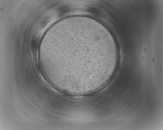 X0000051891322200507081929