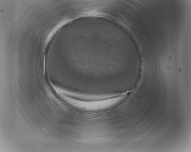 X0000051891323200507081929