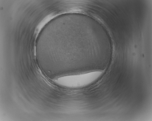 X0000051891324200507081929