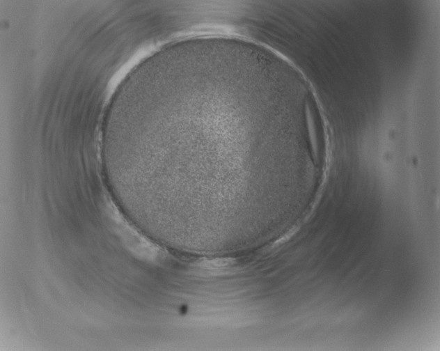 X0000051891325200507081929