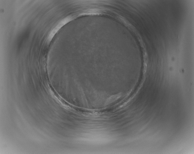 X0000051891329200507081929